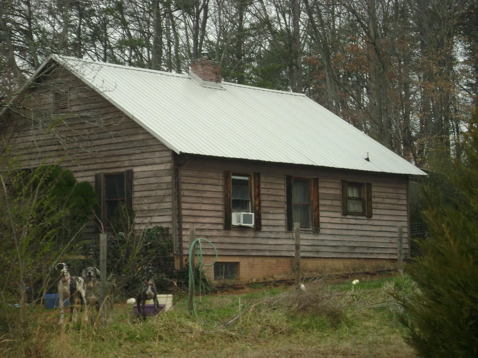 White metal roof on an old wood sided farmhouse, from a Asphalt Shingle Roof Repair job in Yacolt